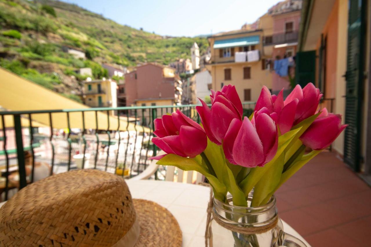 Ca' De Carlin Apartment Manarola Bagian luar foto
