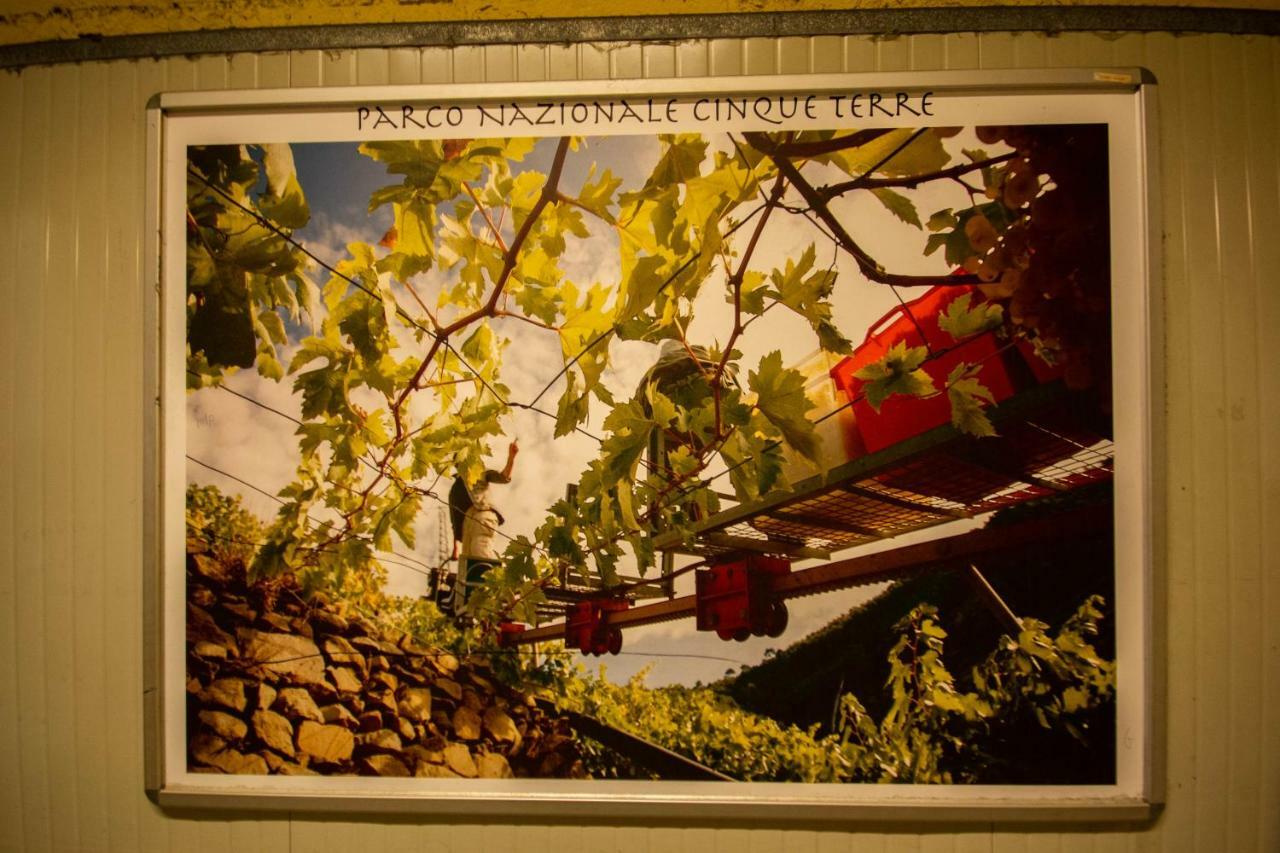 Ca' De Carlin Apartment Manarola Bagian luar foto
